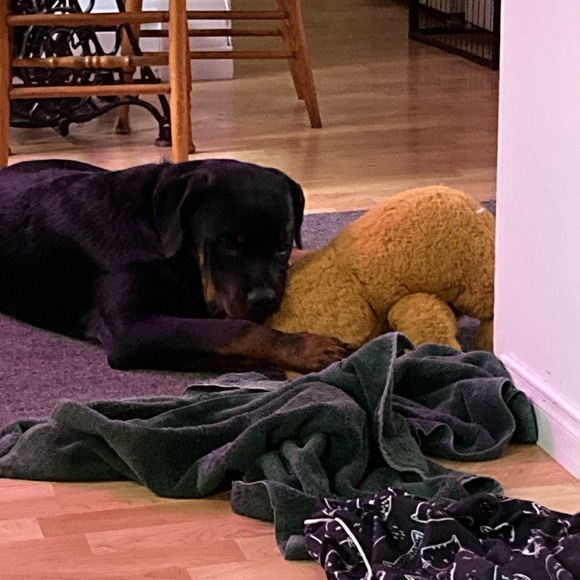 Meet your Posher, Caro - Picture 4 of 6